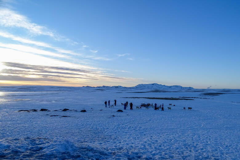 Menschen und Hunde im Schnee in Island 