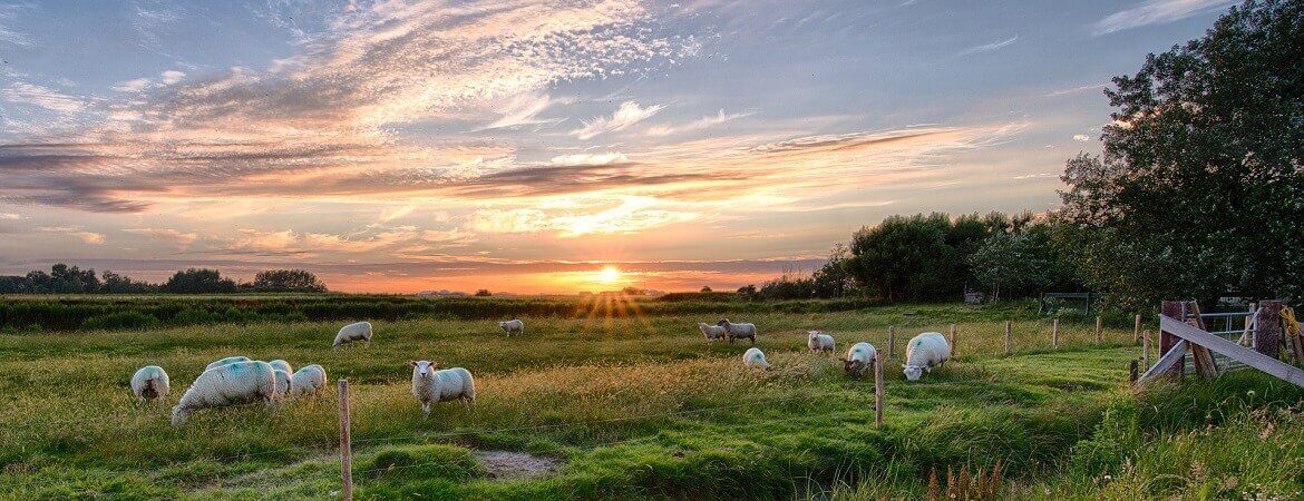 Sonnenuntergang auf Pellworm