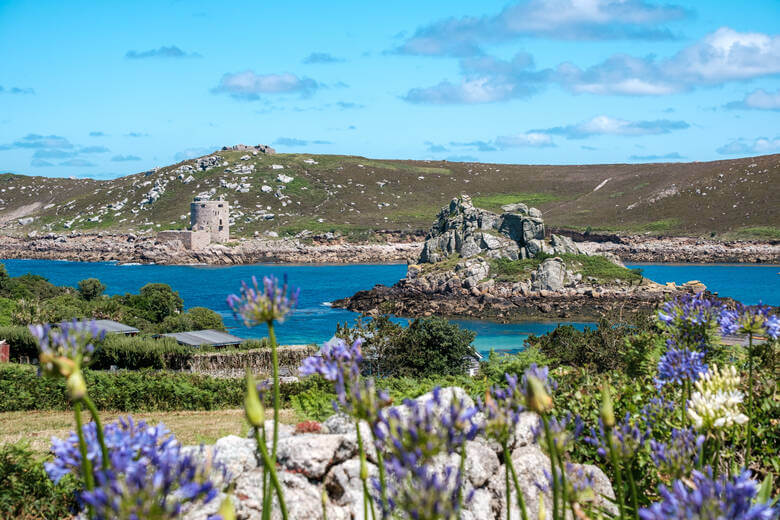 Lilafarbene Blumen, Berge und Meer auf den Scilly-Inseln