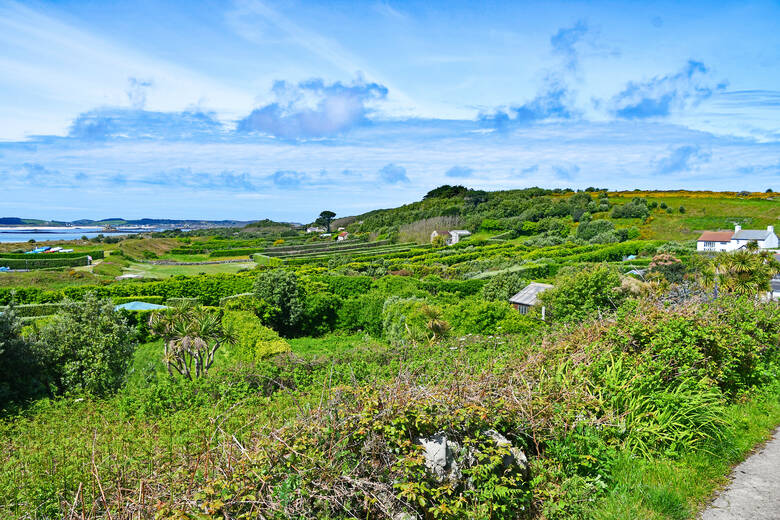 Grüne Wiesen und Hecken auf der Insel St Martin’s in Großbritannien