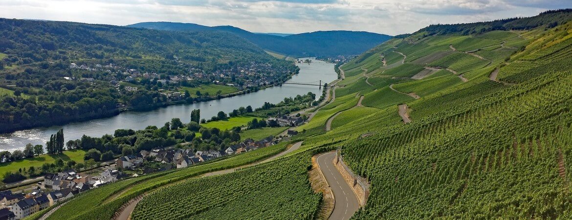 Weinberge an der Mosel