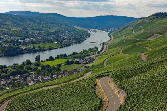 Die besten Weinanbaugebiete der Welt