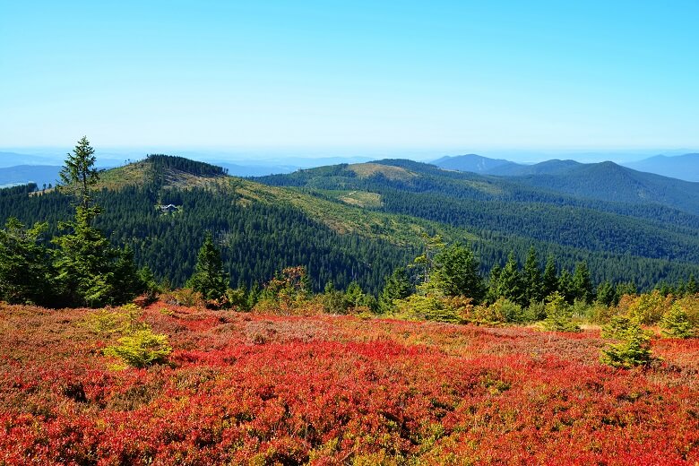 Nationalpark Bayerischer Wald im Herbst