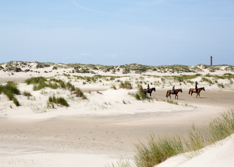 Ostfriesische Inseln