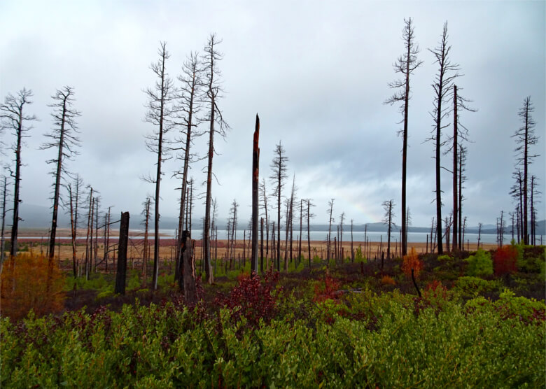 Deschutes National Forest