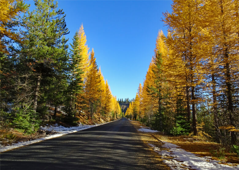 Wallowa Mountains