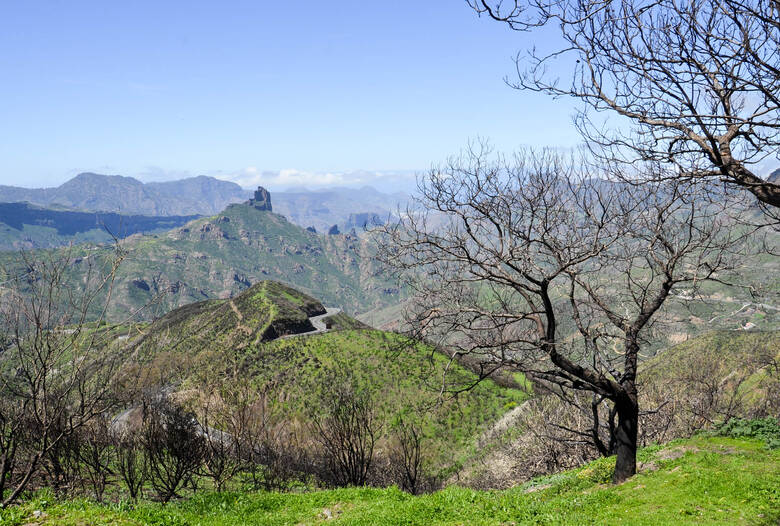 Bergpass Cruz de Tejeda auf Gran Canaria