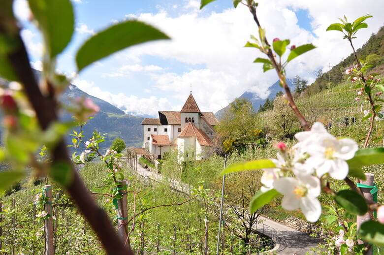 Pfarrkirche und Apfelblüte in Südtirol