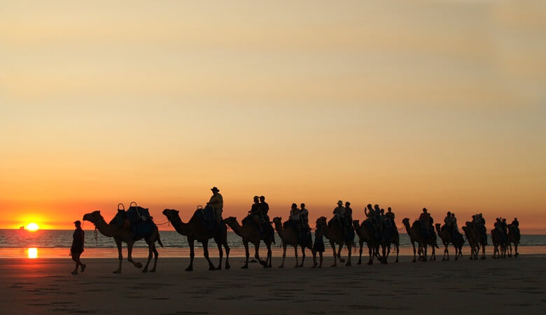 Kameltour am Cable Beach in Westaustralien