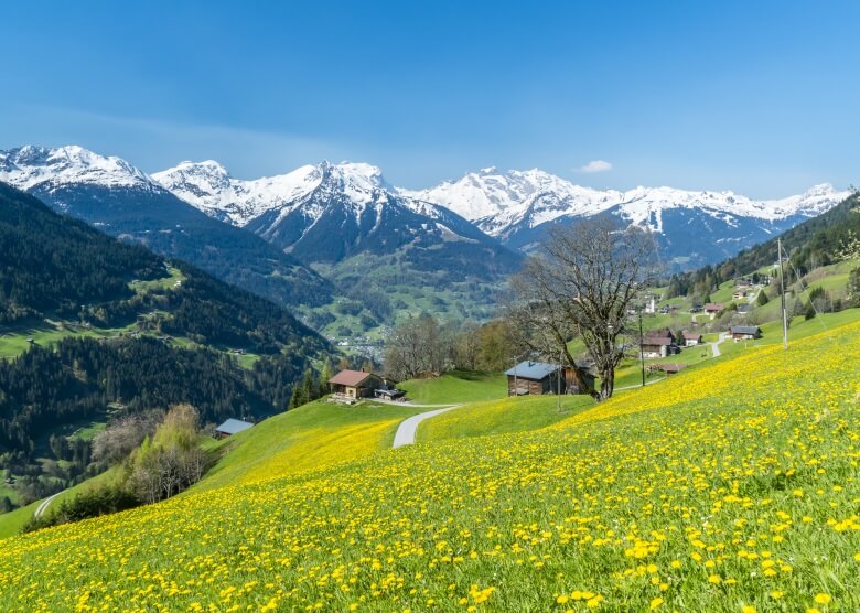 Blick über die Landschaft des Allgäu