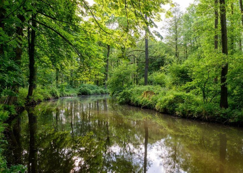 Wasserwege im Spreewald