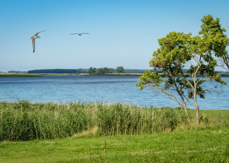 Die Boddenlandschaft in Vorpommern