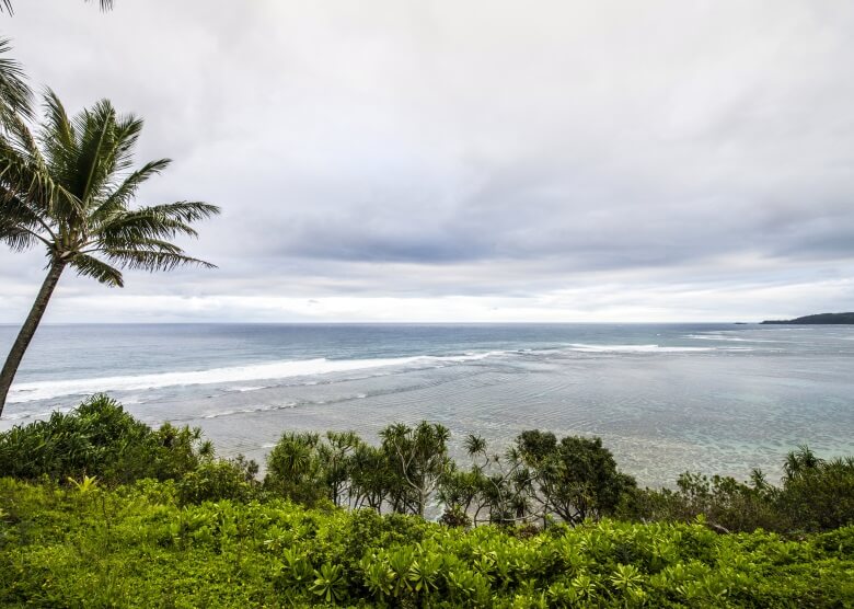 Blick auf Kenomene Beach mit Palmen auf Hawaii