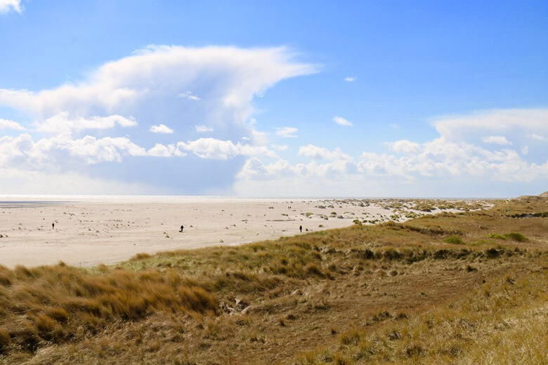Strand Kniepsand auf der Nordseeinsel Amrum