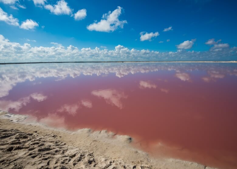 Pinkfarbenes Wasser bei Las Colaradas in Yucatan Mexico