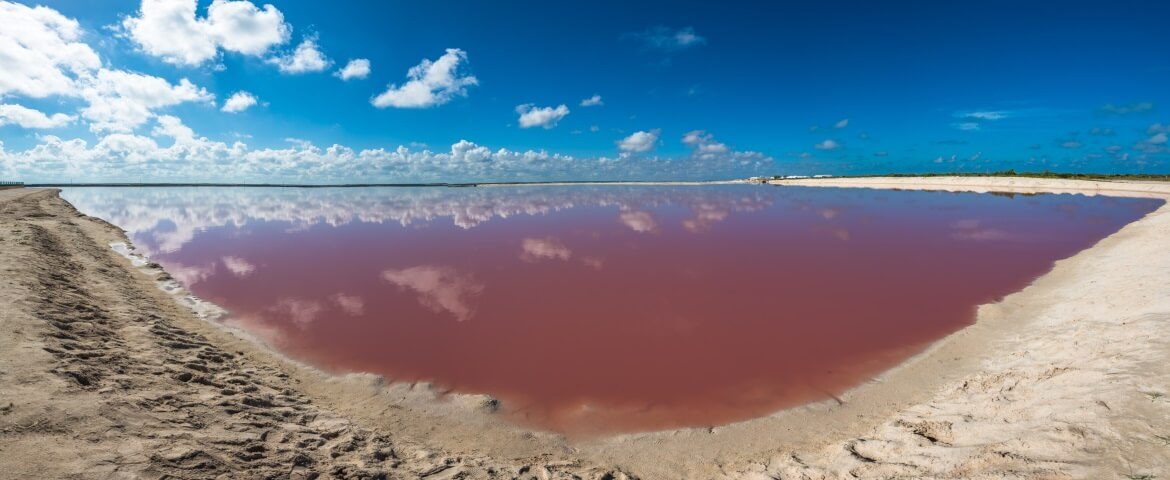 Pinkfarbenes Wasser bei Las Colaradas in Yucatan Mexico