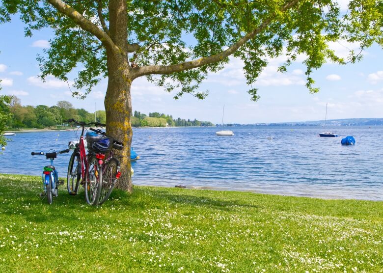 Bodensee mit Kindern Tipps für den perfekten