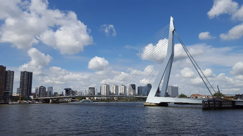 Blick auf den Schwan in Rotterdam