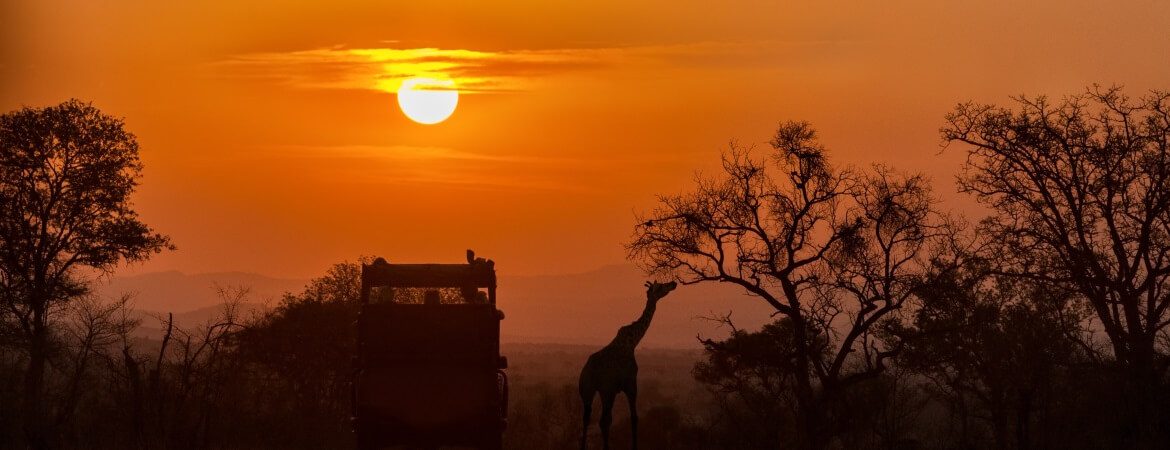 Afrikanische Steppe mit Giraffe und Sonnenuntergang