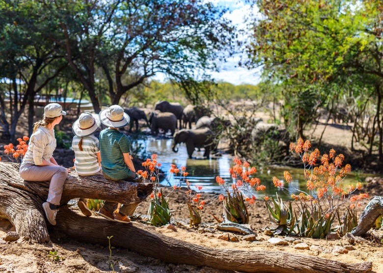 Familie auf Safari beobachtet Elefanten an Wasserloch