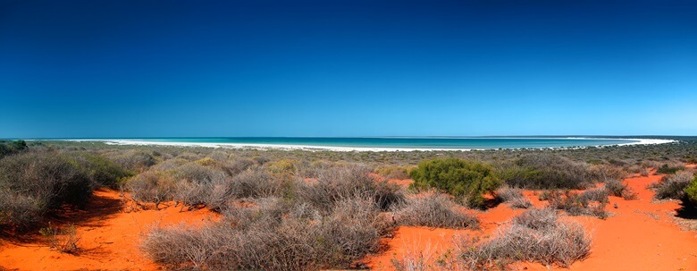Blick über Shark Bay an der australischen Westküste