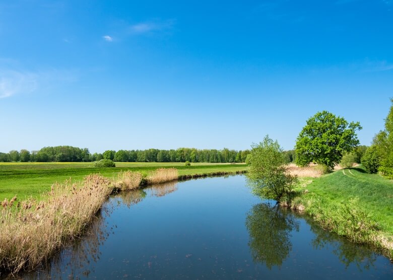 Der Gurkenradeg führt durch die schönen Landschaften des Spreewalds