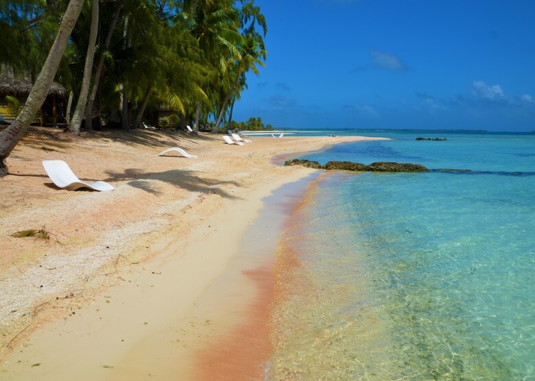 Palmen und rosa Sand am Strand Tikehau, Französisch-Polynesien