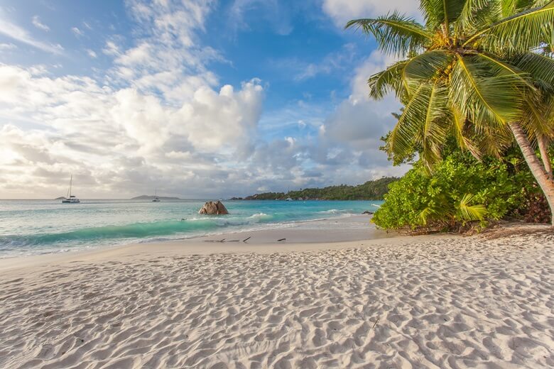 Palmenstrand Anse Lazio auf den Seychellen