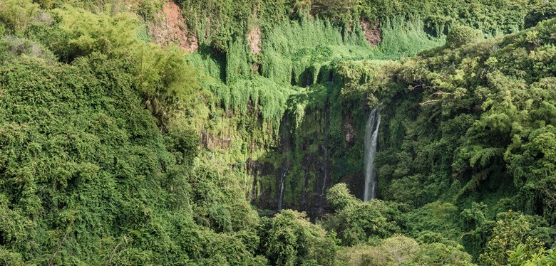 Wasserfall im Black River Nationalpark auf Mauritius