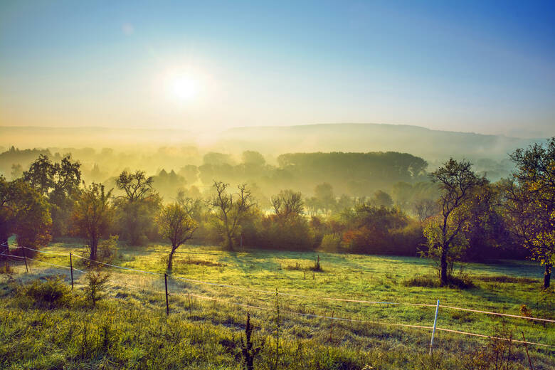 Bliesgau Landschaft morgens im Herbst bei Sonnenaufgang