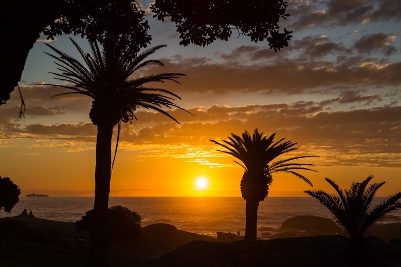 Sonnenuntergang hinter Palmen am Strand Camps Bay von Kapstadt