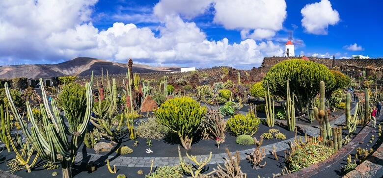 Kakteengarten Jardin de Cactus auf Lanzarote