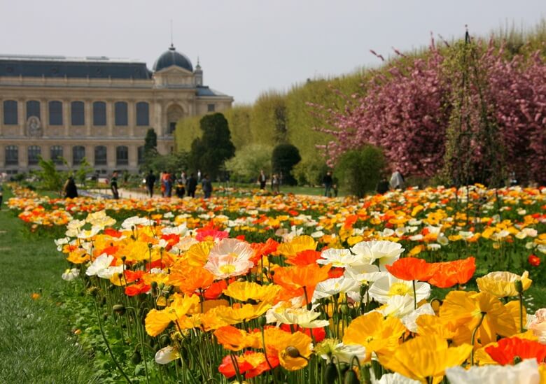 Botanischer Garten Jardin des Plantes in Paris