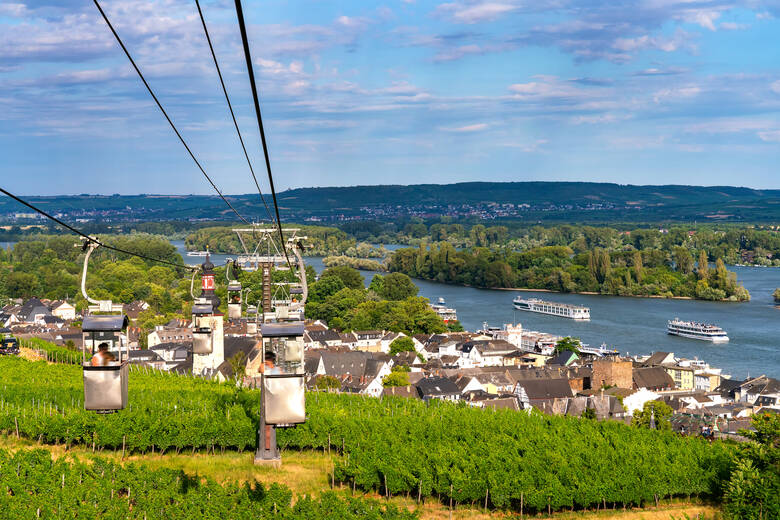 Blick von der Seilbahn in Rüdesheim am Rhein auf die Weinberge