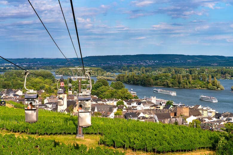 Blick von der Seilbahn in Rüdesheim am Rhein auf die Weinberge