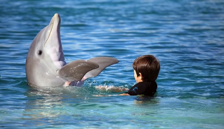 Junge schwimmt mit einen Delfin