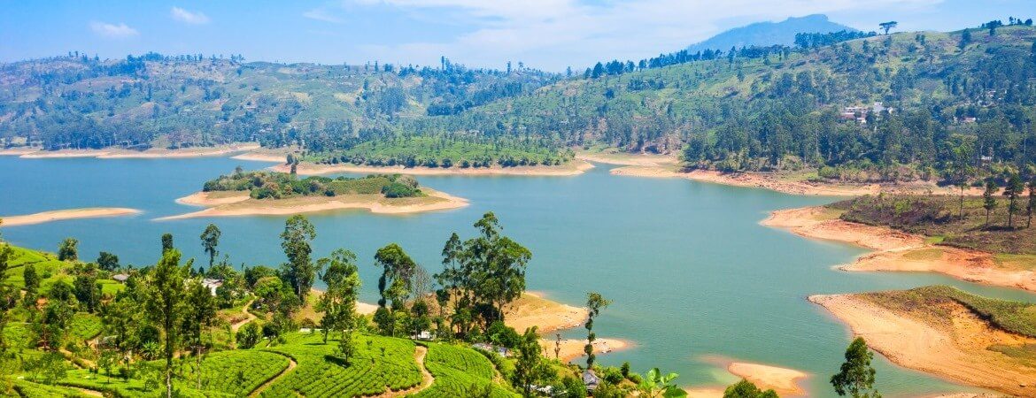 Blick über Teeplantagen, Berge und Wasser in Sri Lanka