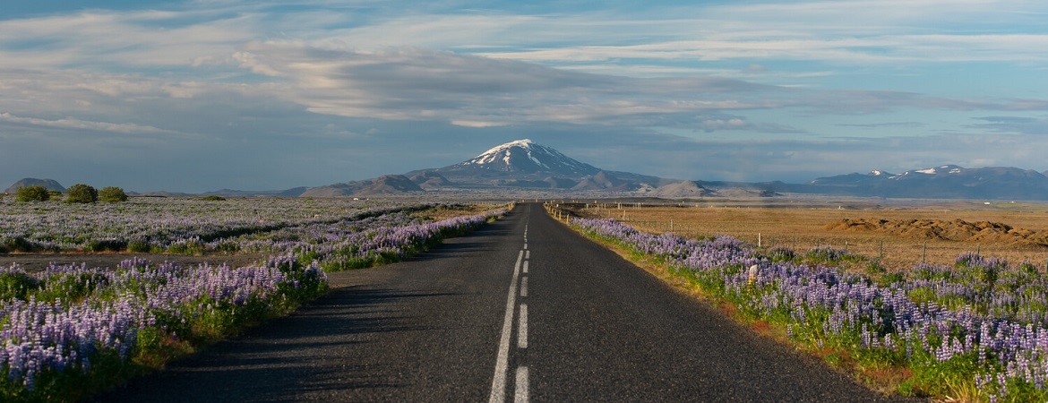 Ringstraße in Island mit Blick auf Vulkan Hekla