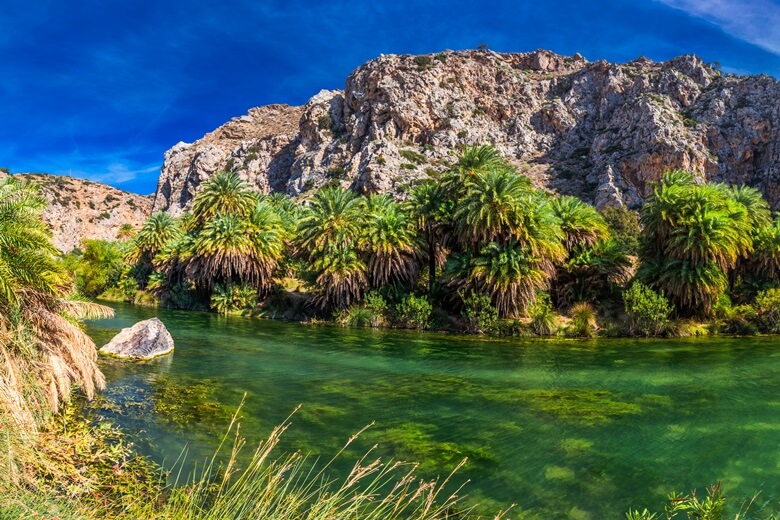 Palmen am Strand von Preveli am Süßwasserfluss auf Kreta