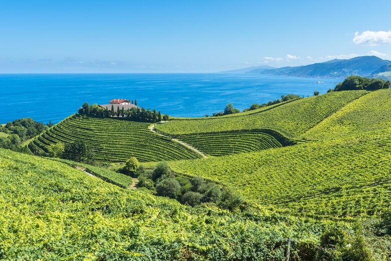 Üppige Felder in Spaniens Baskenland mit Blick auf das Meer