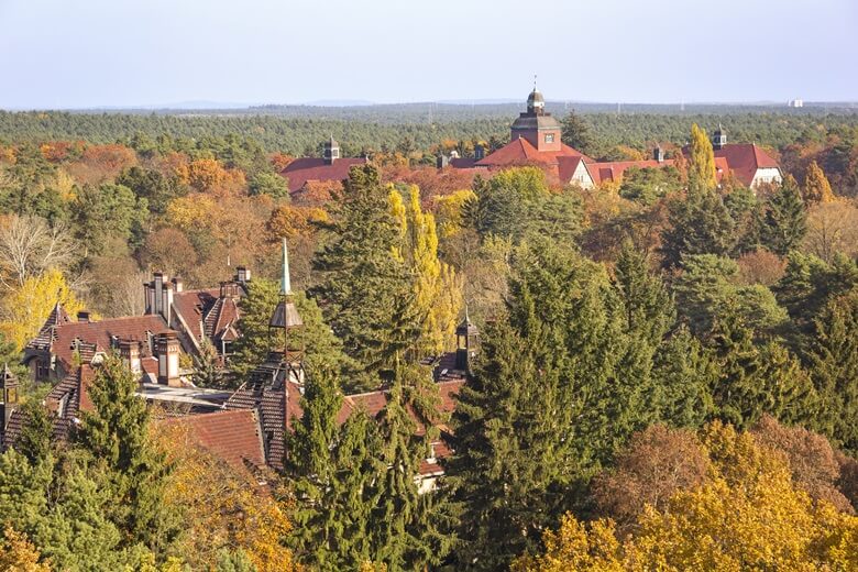 Blick vom Baumkronenpfad in Bellitz über eine der schönsten Kleinstädte Deutschlands