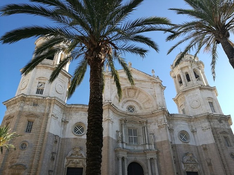 Palmen vor der Kathedrale von Cádiz