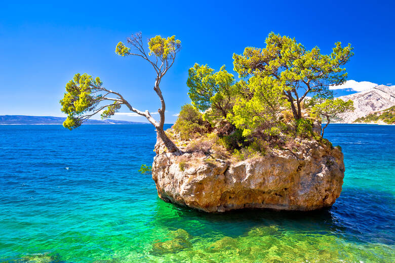 Bewaldeter Felsen im Meer in Kroatien