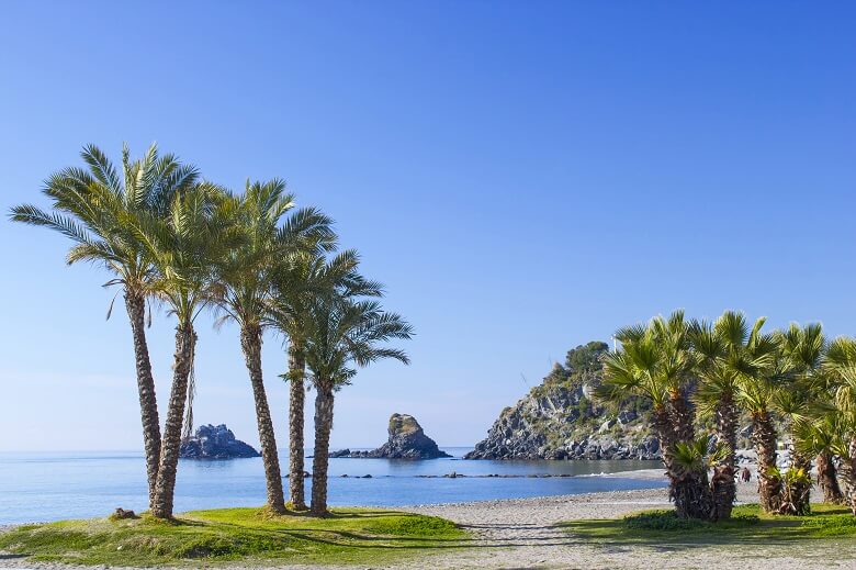 Palmen am Strand in Almuñécar, einem Ferienort in Südspanien
