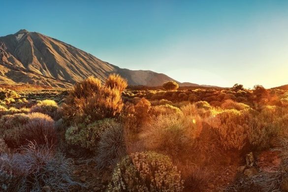 Unsere Top 5 Geheimtipps für Teneriffa