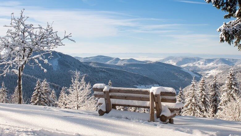 Bank auf dem Feldberg im Hochschwarzwald