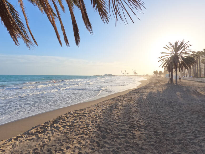 Strand La Malagueta in Malaga mit Palmen 