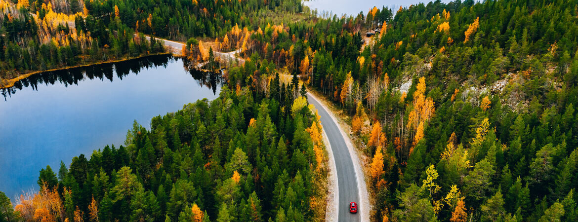 Auto fährt durch eine herbstliche Landschaft in Finnland