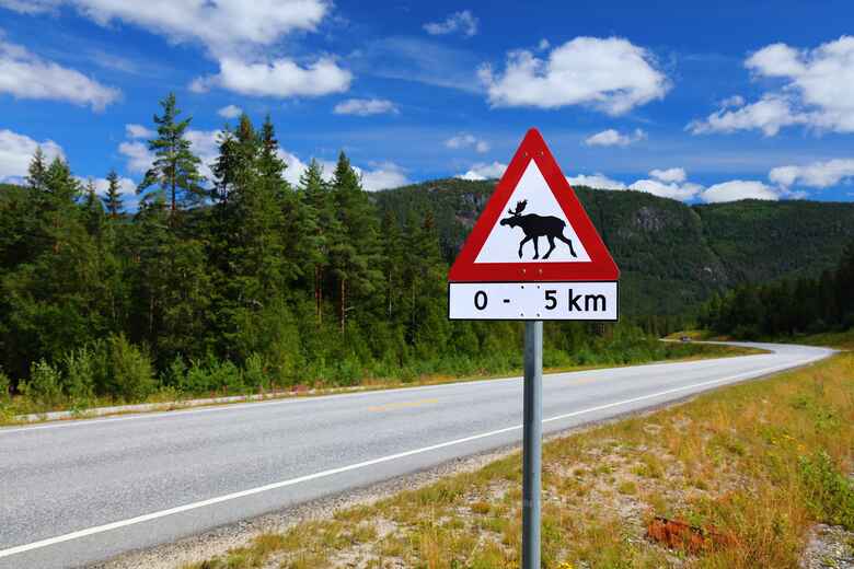 Elch-Warnung: Verkehrsschilder in Norwegen