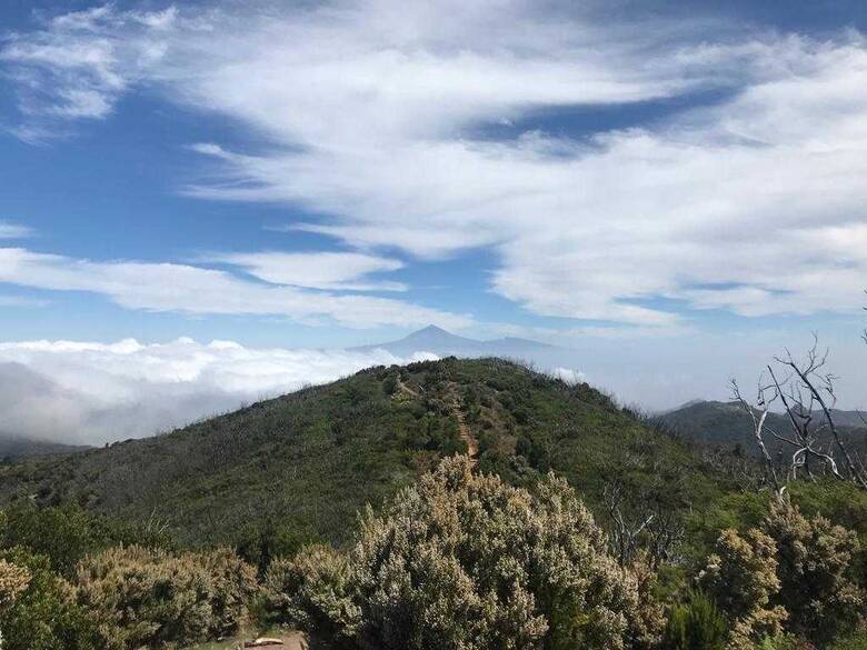 Alto de Garajonay auf La Gomera